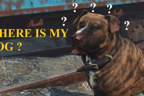 buy a dog fallout 4